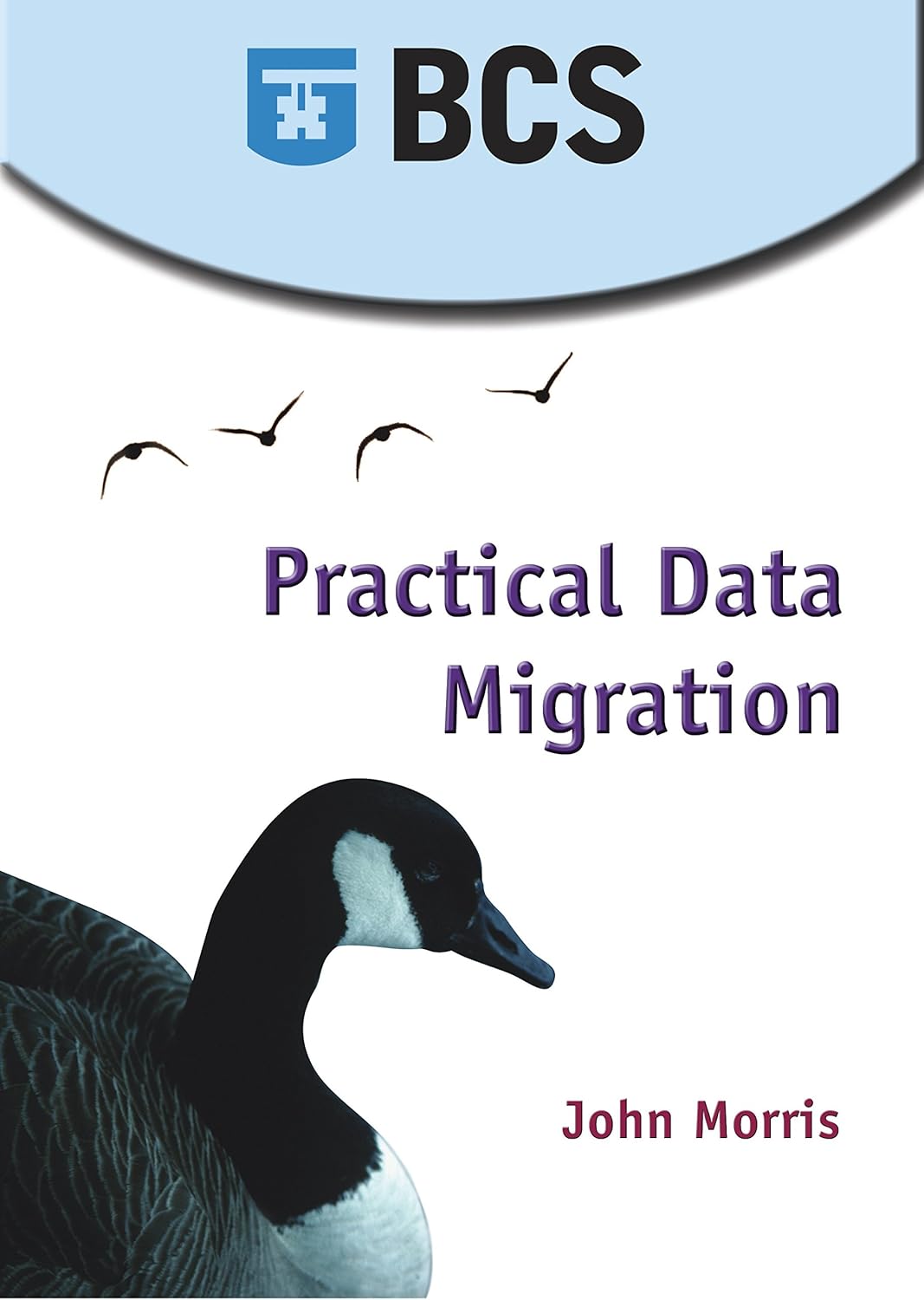 Practical Data Migration first edition cover